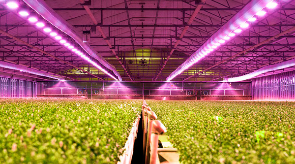 艾邁斯歐司朗與Energous攜手開發無線供電多光譜傳感解決方案，助力農業傳感應用